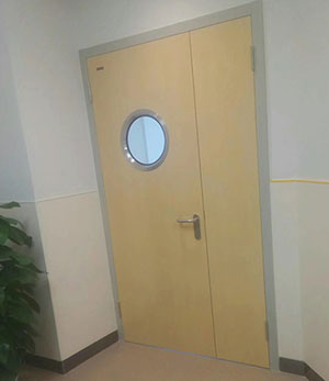 hollow core patient room door